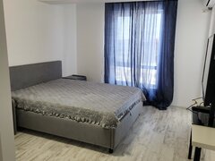 Militari, Iuliu Maniu A1